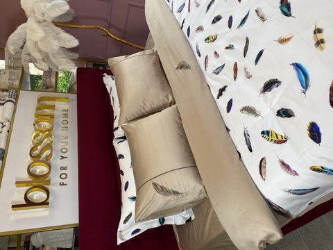 Комплект постільної білизни з вишивкою преміум сатин Maison d'or ,VOLANTE bej, євро розмір 0050 фото